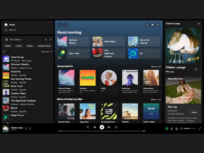Kho nhạc đồ sộ trong Spotify Premium APK